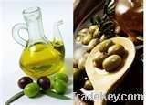 moroccan extra virgin olive oil