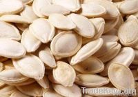 Pumpkin seeds