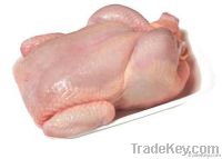 Chicken meat