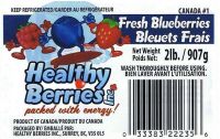 Frozen Blueberries