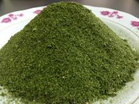 Ulva seaweed