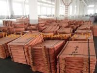 99.99% purity copper cathode hot sale