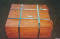 HOT SALE COPPER CATHODES