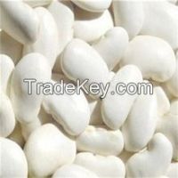 price of fresh large white kidney beans, large type white kidney beans 55pcs/100g white kidney beans