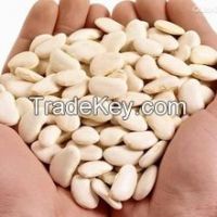 Large Lima Beans,Canned Butter Beans,Chinese White Kidney Beans Flat Size 50-60pcs