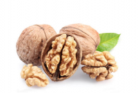 walnuts in shell