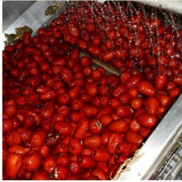 Red jujube/red dates