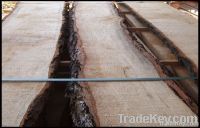 Euro Oak Wood Log & Oak Lumber