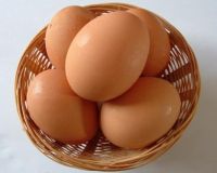 https://ar.tradekey.com/product_view/Chicken-Eggs-And-Chicks-1654743.html