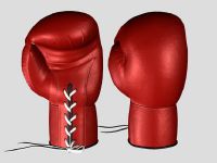 Boxing Glove