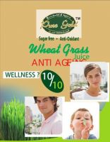 Wheatgrass Extract Juice