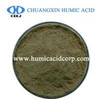 Amino acid powder comes from plant