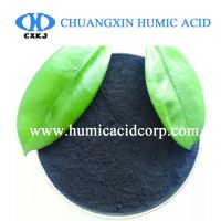 Nitro Humic Acid  Powder Manufacture