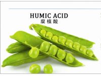 Xinjiang Leonardite  with 85% organic matter and 70% humic acid