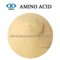 Amino Acid Plant source