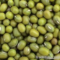 Green mung bean