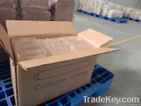 Collagen Casing