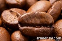 Export Robusta Coffee Beans,Robusta Coffee Bean Importer,Robusta Coffee Beans Buyer,Buy Robusta Coffee Beans,Robusta Coffee Bean Wholesaler,Robusta Coffee Bean Manufacturer,Best Robusta Coffee Bean Exporter,Low Price Robusta Coffee Beans,Best Quality Robu