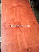 PLYWOOD FACED PHENOL GLUE