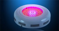 90W Red and Blue  LED grow light