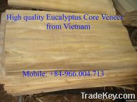 SUPPLY EUCALYTUS CORE VENEER FROM VIETNAM