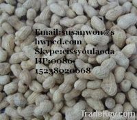 hot sell high efficiency peanut butter machine0086-15238020668