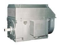 High Voltage Three Phase Induction Motor