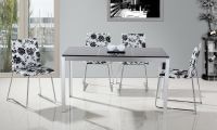 Modern dining table-M801