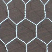 hexagonal wire mesh