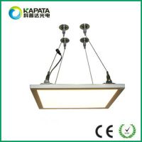 40W Dimmable Panel Light