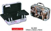 aluminum cosmetic case