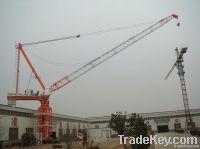8t D4522 Luffing Tower Crane 45 meters Luffing Jib Factory Price