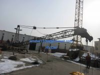 Hot Model QD1840 Derrick Crane 10t Load 4.0t at 18m Luffing Work Jib