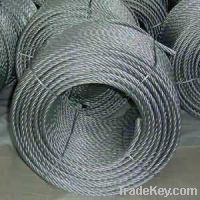 electric wire rope