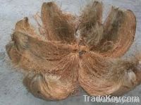 https://fr.tradekey.com/product_view/Coconut-Husk-1728312.html