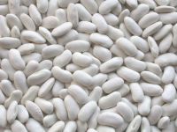 White Kidney  Beans