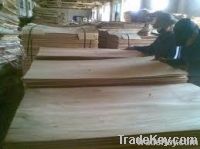 Supply Eucalyptus Core Veneers