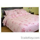 Celsia-celsia-pink