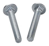 carriage bolt / galvanized steel bolt