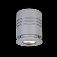 LED ALUM. DIE-CAST OUTDOOR CEILING LIGHT IP55