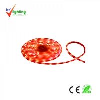 flexible LED strips