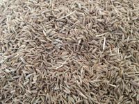 Organic Cumin seed