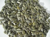 pumpkin seed kernels (GWS)