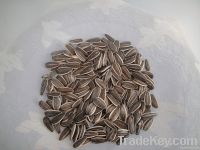 https://www.tradekey.com/product_view/2012-New-Striped-Sunflower-Seeds-909-1679662.html