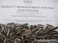 confectioanry sunflower seeds 5009 large quantity
