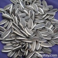 https://www.tradekey.com/product_view/2012-Sunflower-Seeds-5009-Market-Price-1679688.html