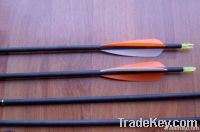 arrow shaft