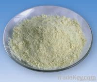 Xanthan Gum Food and Pharma Grade