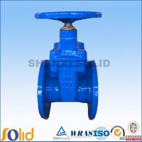 Iron Rising Stem Gate Valve