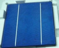 156mm Polycrystalline Solar cell / 2bus-bar